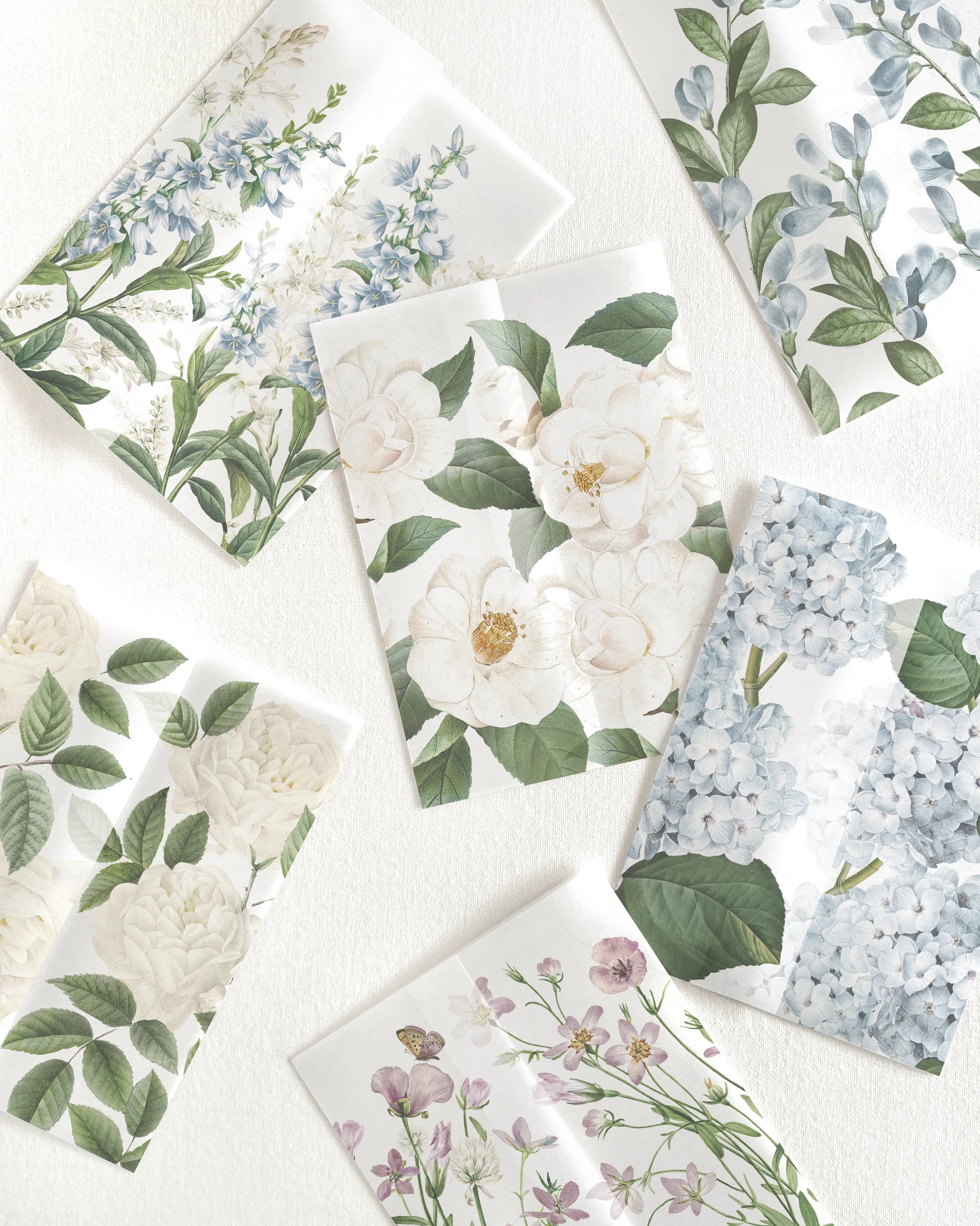 Botanical Vellum Covers