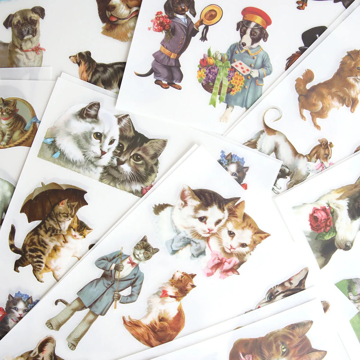 Cute Pet Rub On Transfers
