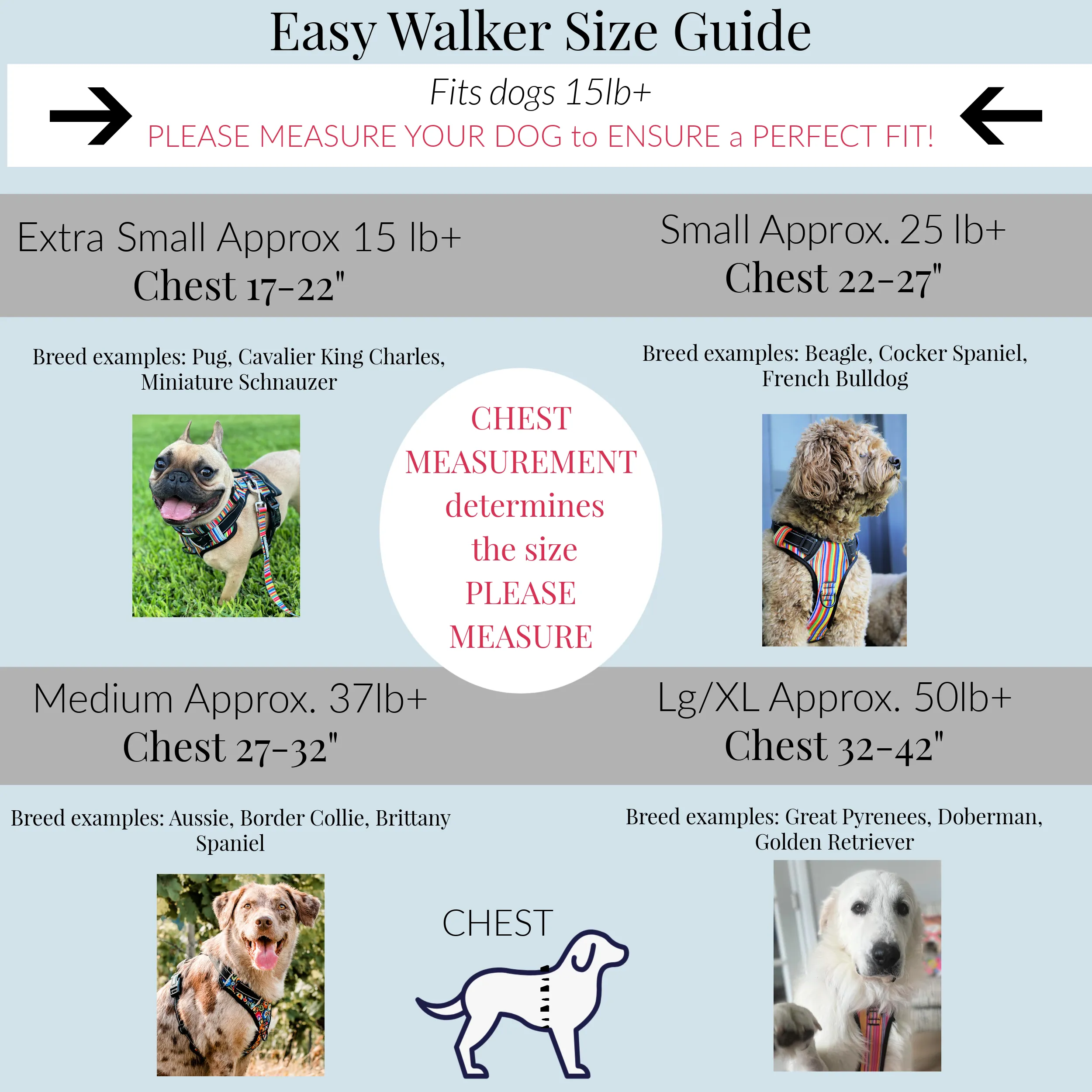 Easy Walker Blackbird Harness
