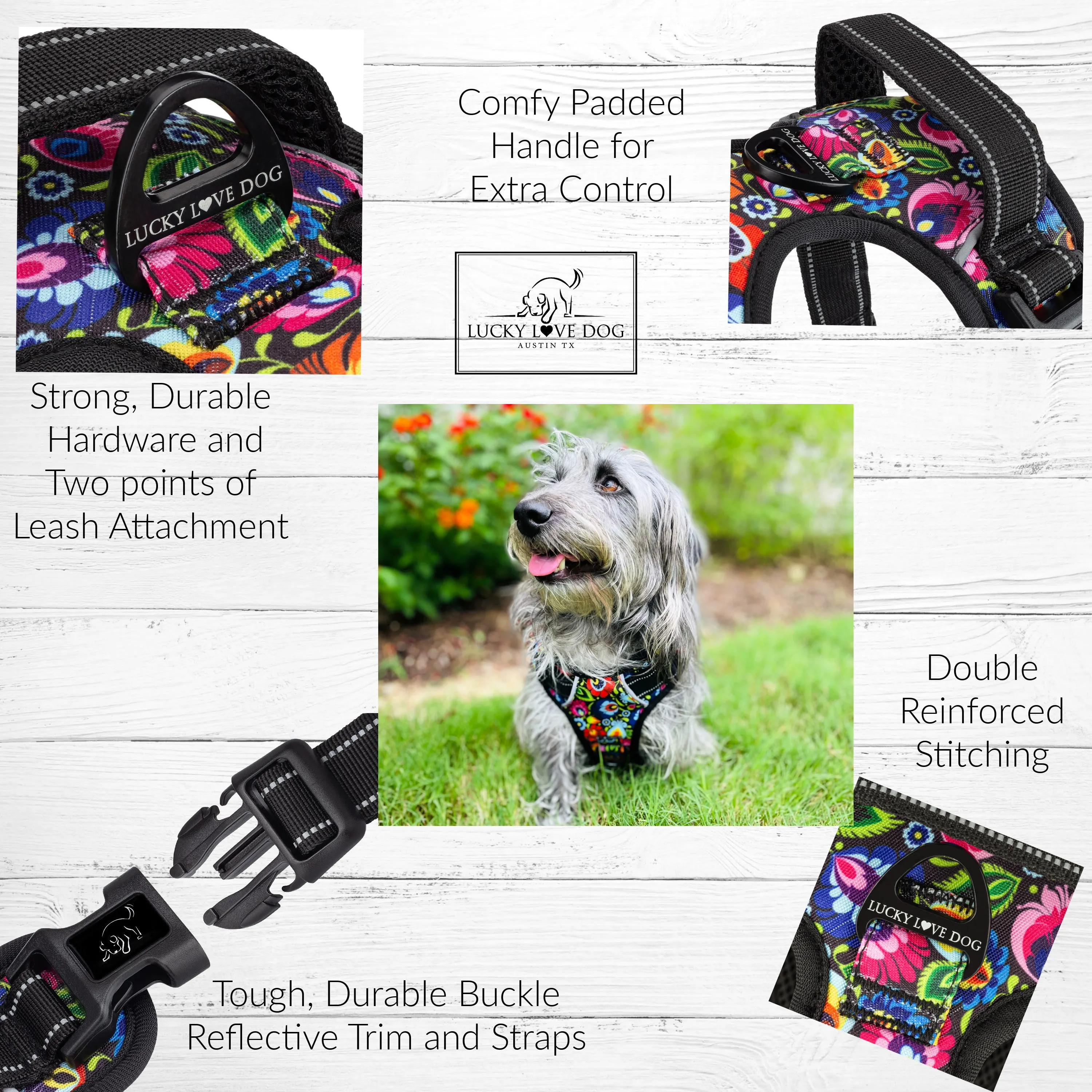Easy Walker Blackbird Harness