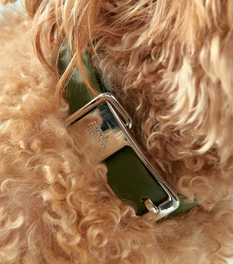 Frank Green Pet Collar   Name Tag - Khaki/Silver