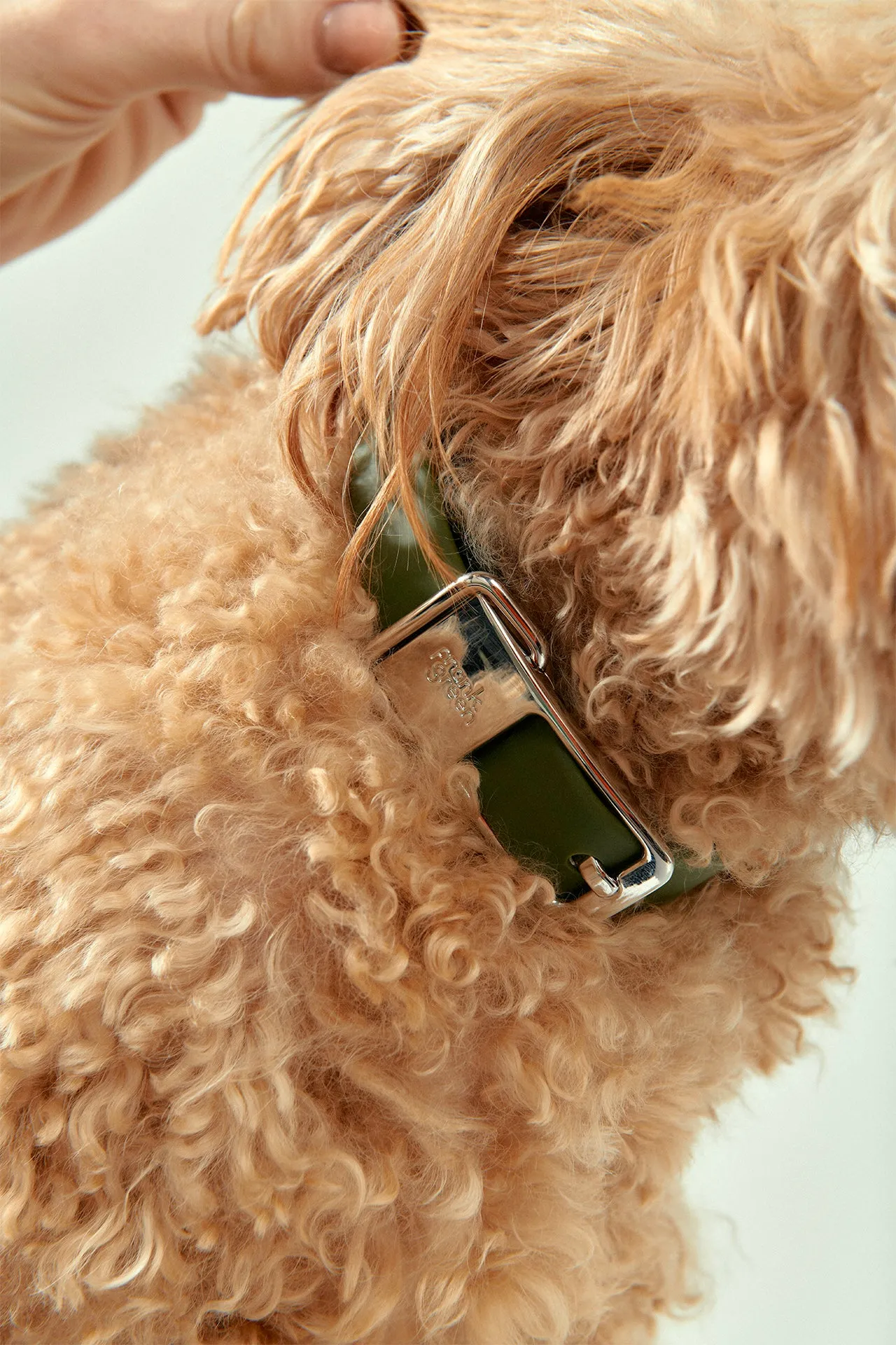 Frank Green Pet Collar   Name Tag - Khaki/Silver