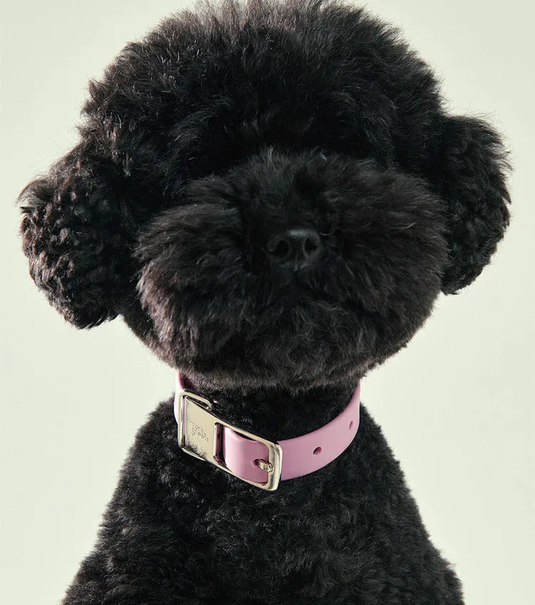 Frank Green Pet Collar   Name Tag - Khaki/Silver