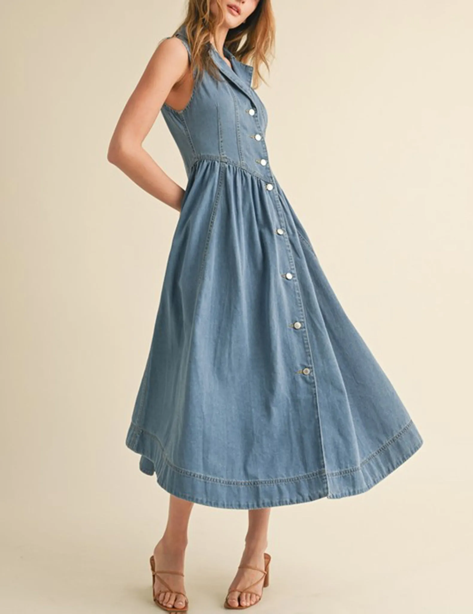 Meera Buttoned Basque Waist Denim Dress