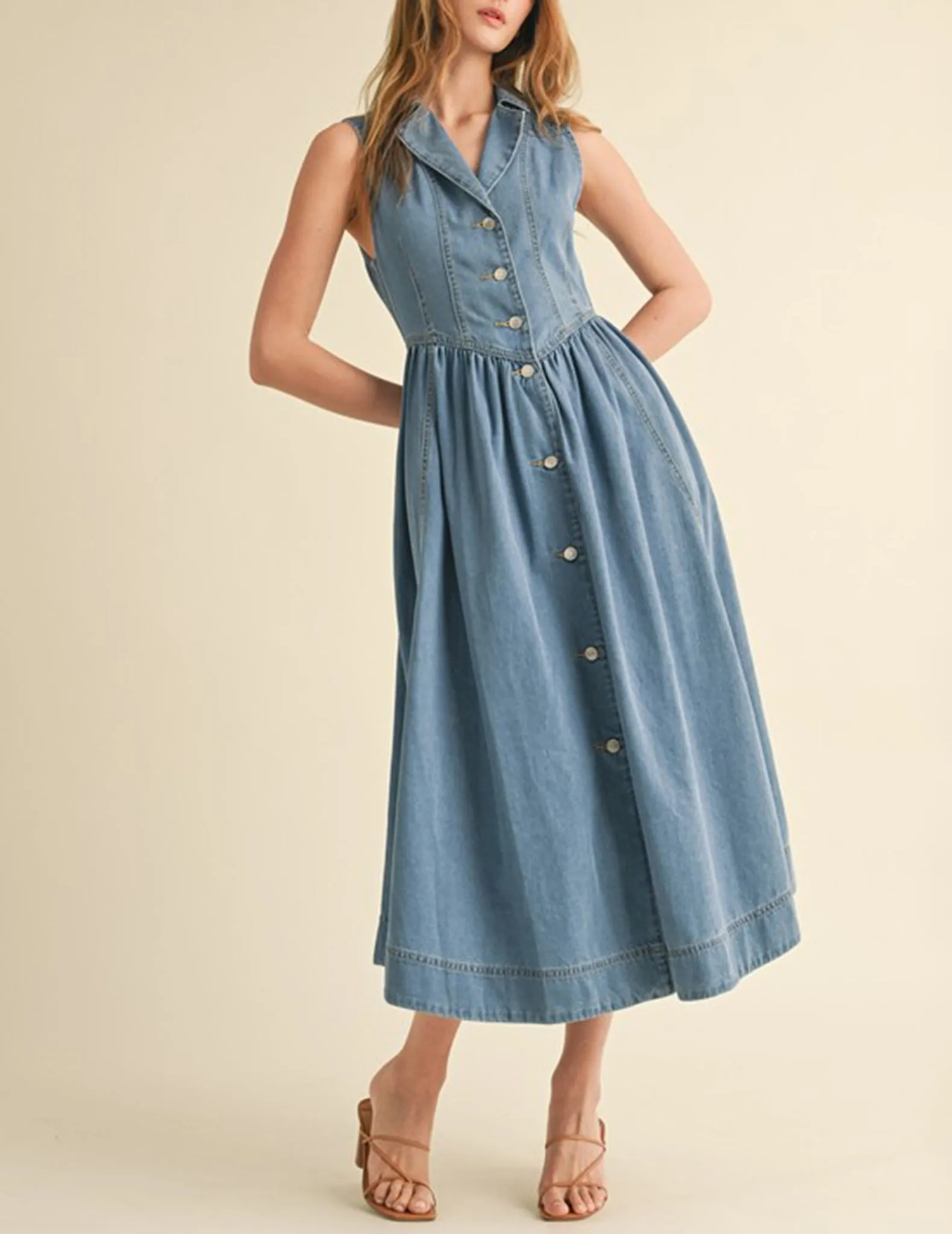 Meera Buttoned Basque Waist Denim Dress