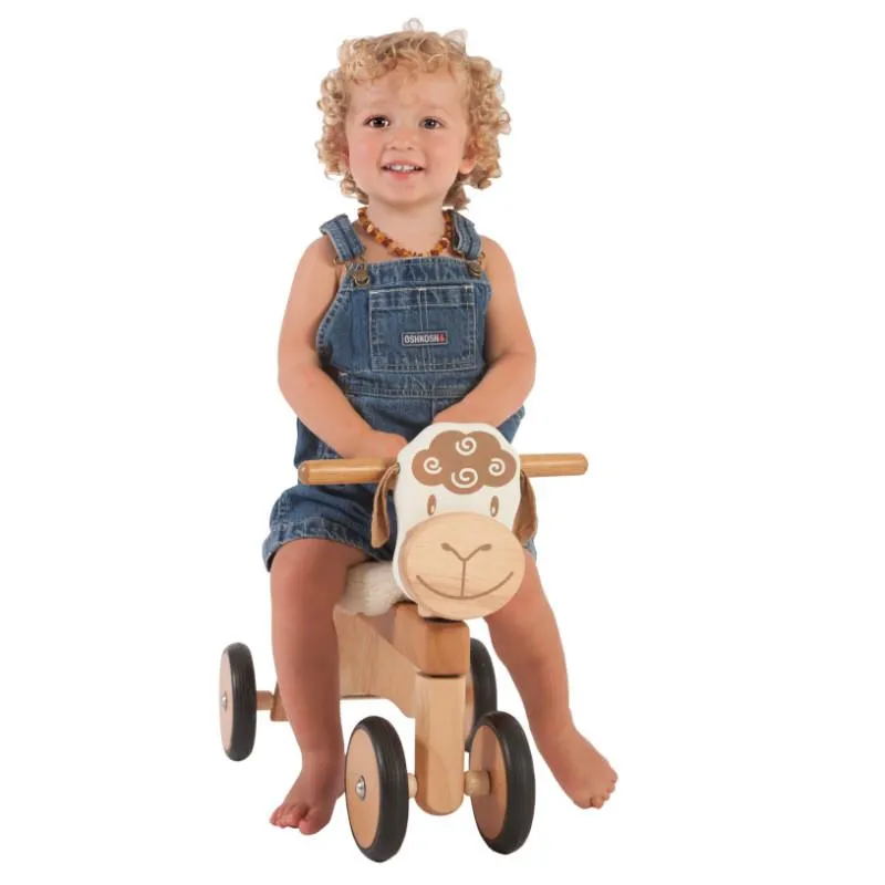 Paddie Rider Lambie
