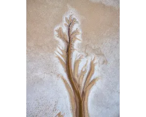 PATH. Wall Art
