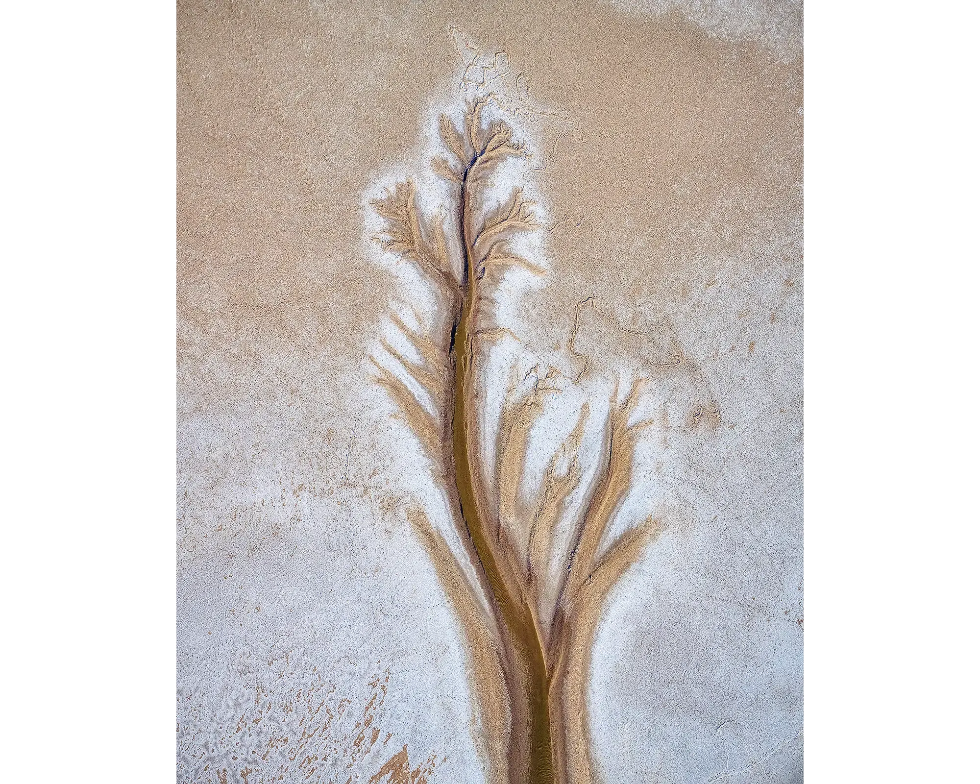 PATH. Wall Art